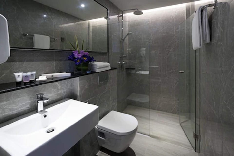Shower, free toiletries, hair dryer, slippers