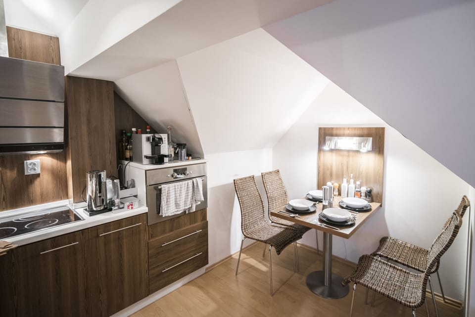 Deluxe Apartment | Private kitchenette | Fridge, microwave, oven, stovetop