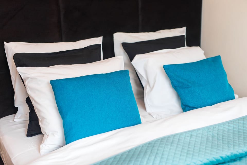 Comfort Apartment | 1 bedroom, iron/ironing board, free WiFi, bed sheets