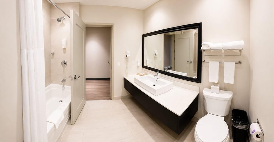 Suite, 1 King Bed, Non Smoking | Bathroom | Free toiletries, hair dryer, towels, soap