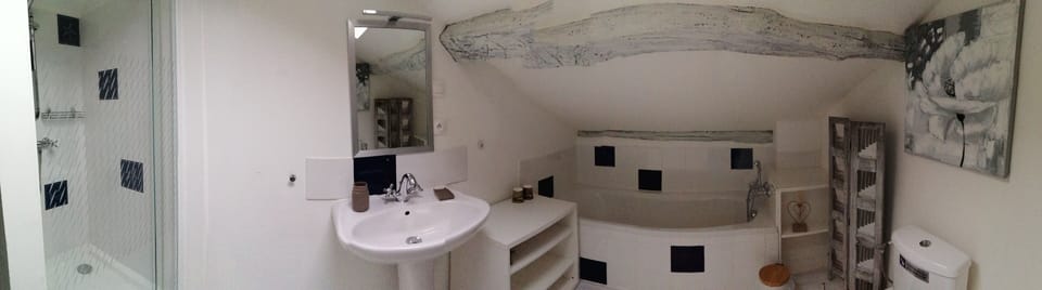 Hair dryer, towels, toilet paper