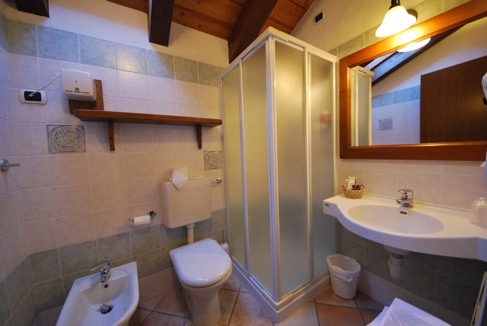 Shower, hair dryer, bidet, towels