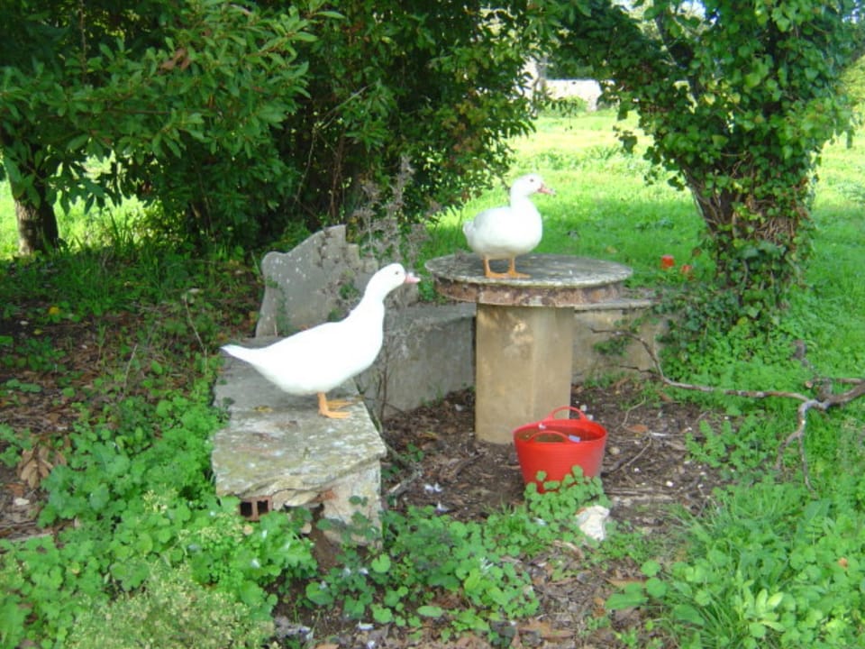 Quinta do Scoto Bed and Breakfast in Lisbon District