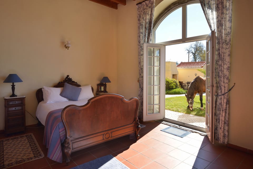 Marquis do Pombal (Ground Floor, Max 6 Guests) | View from room