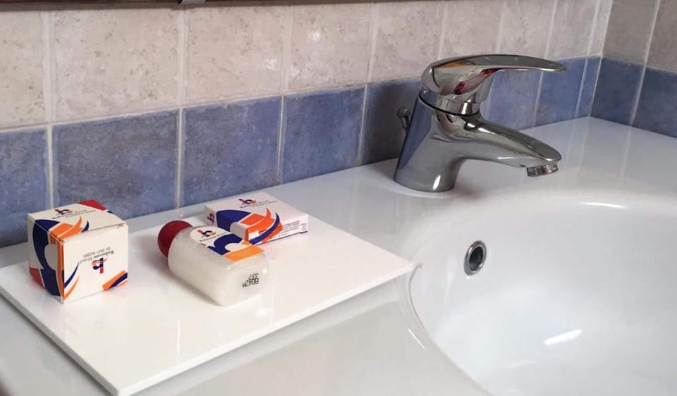 Shower, free toiletries, hair dryer, bidet