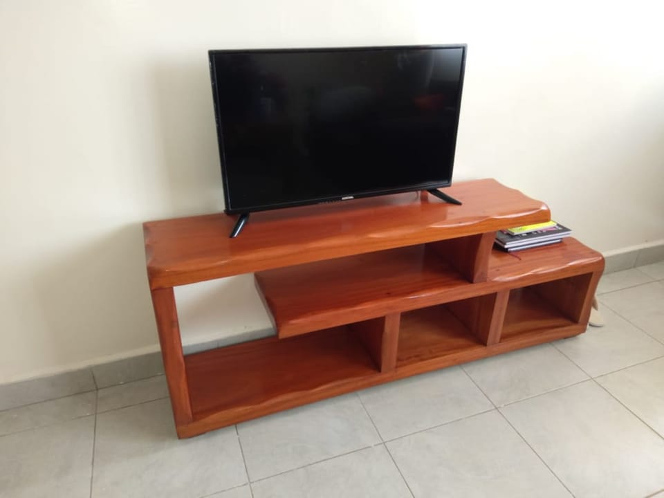Television