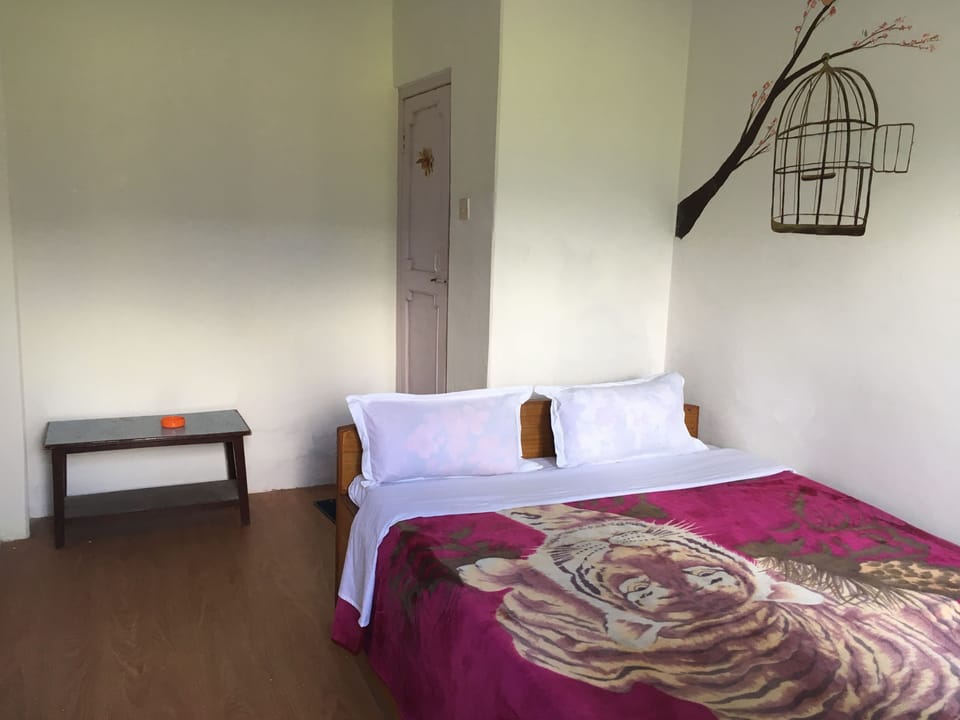 Standard Single Room | Desk, free WiFi