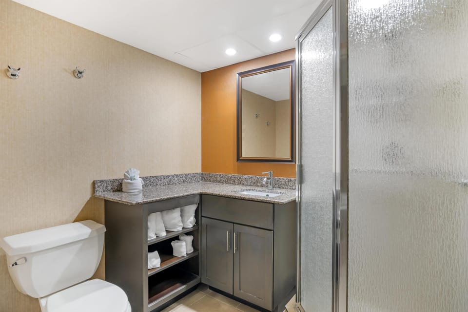 Suite, 1 King Bed, Non Smoking, Hot Tub | Bathroom | Bathtub, free toiletries, hair dryer, towels