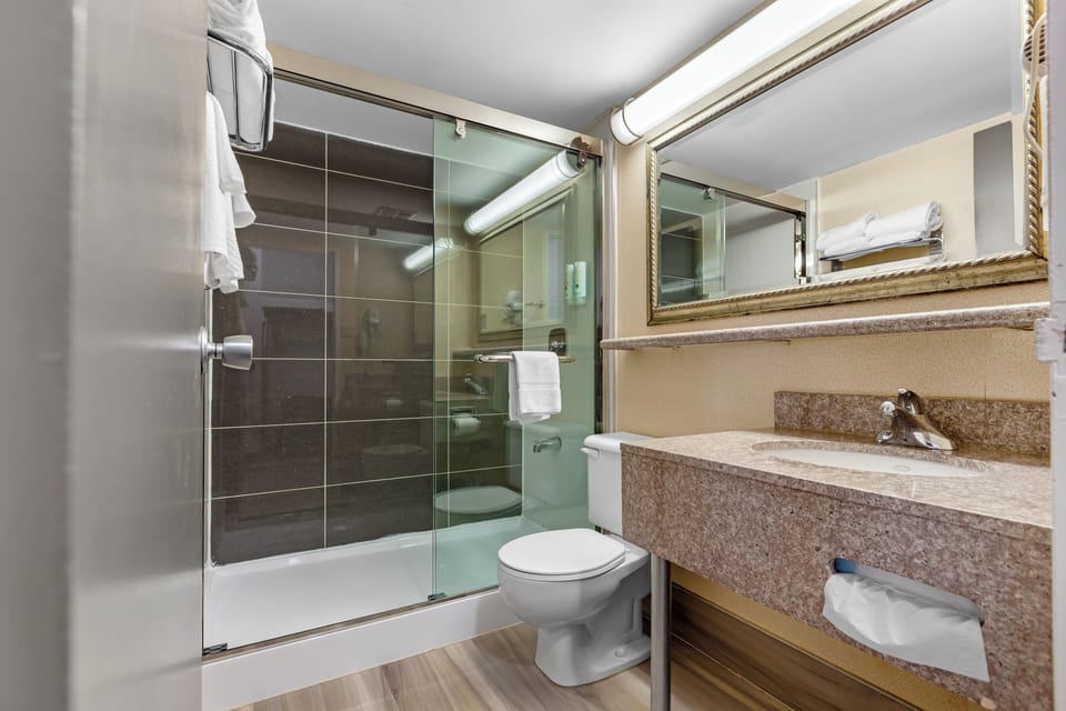 Combined shower/tub, free toiletries, hair dryer, towels