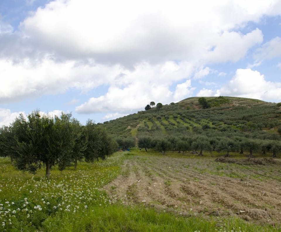 Land view from property