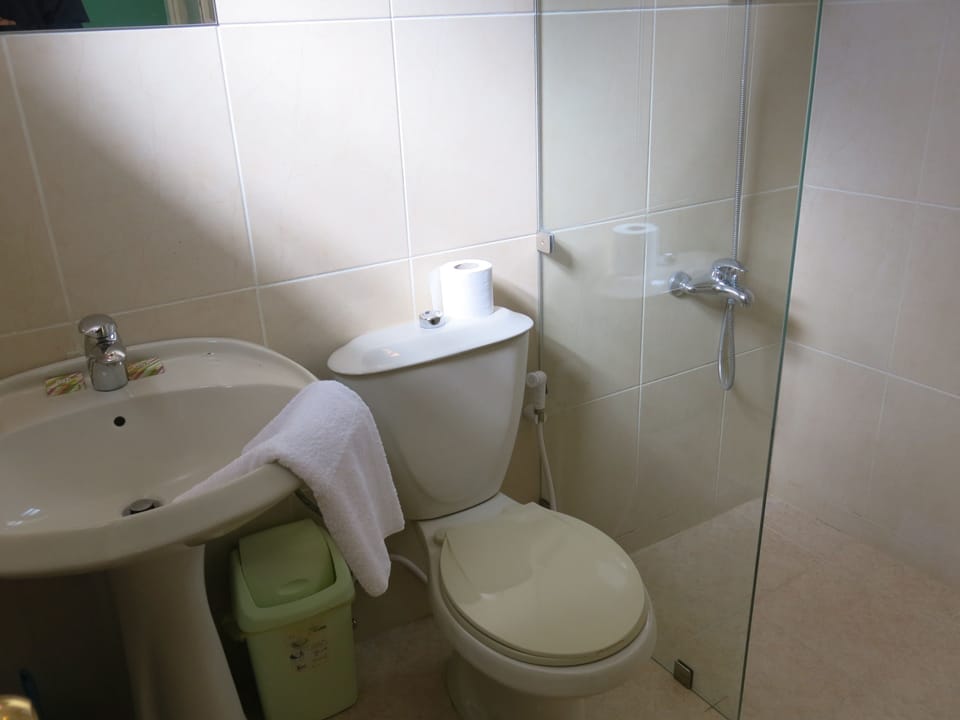 Shower, hair dryer (on request), towels