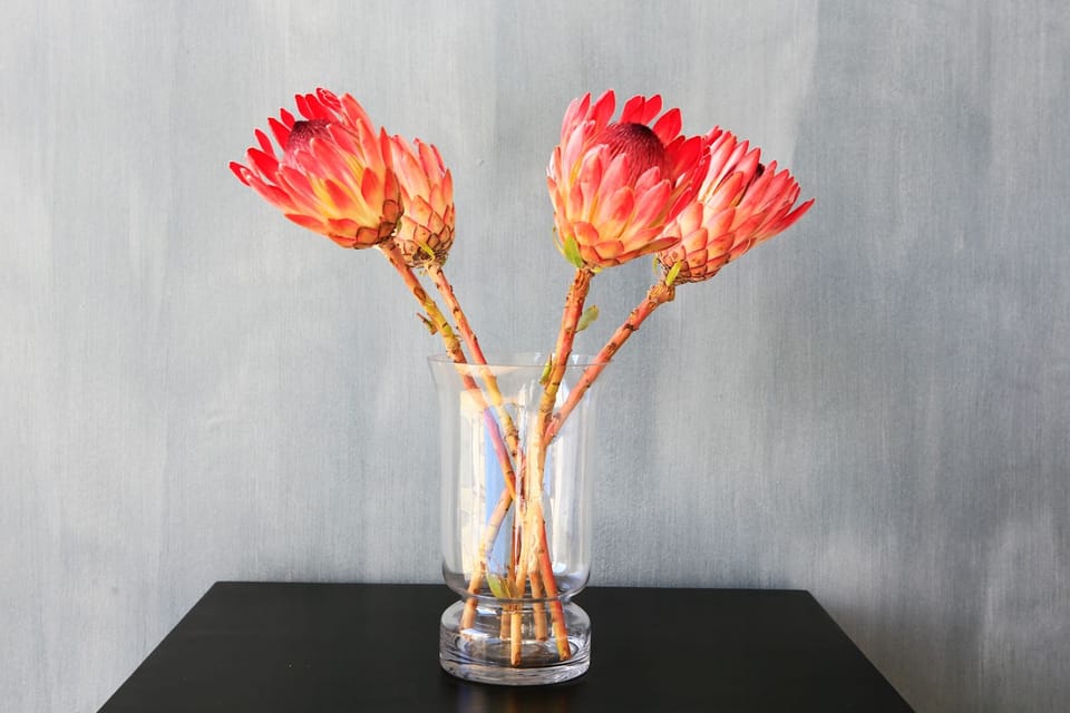 Standard Apartment, 1 Bedroom (da Sun) | Room amenity