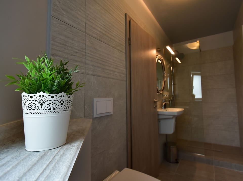 Deluxe Double Room, Terrace (Gray) | Bathroom | Free toiletries, hair dryer, towels, soap