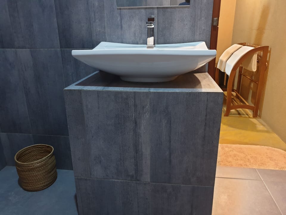 Deluxe Double Room | Bathroom | Shower, free toiletries, hair dryer, bidet
