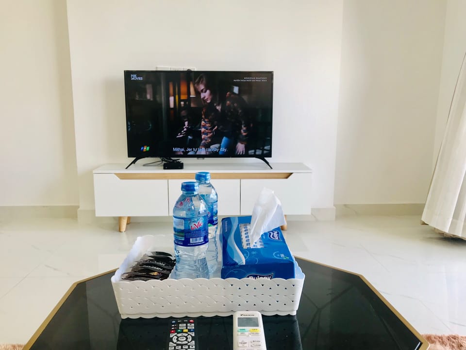 Television