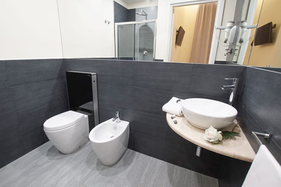 Shower, free toiletries, hair dryer, bidet