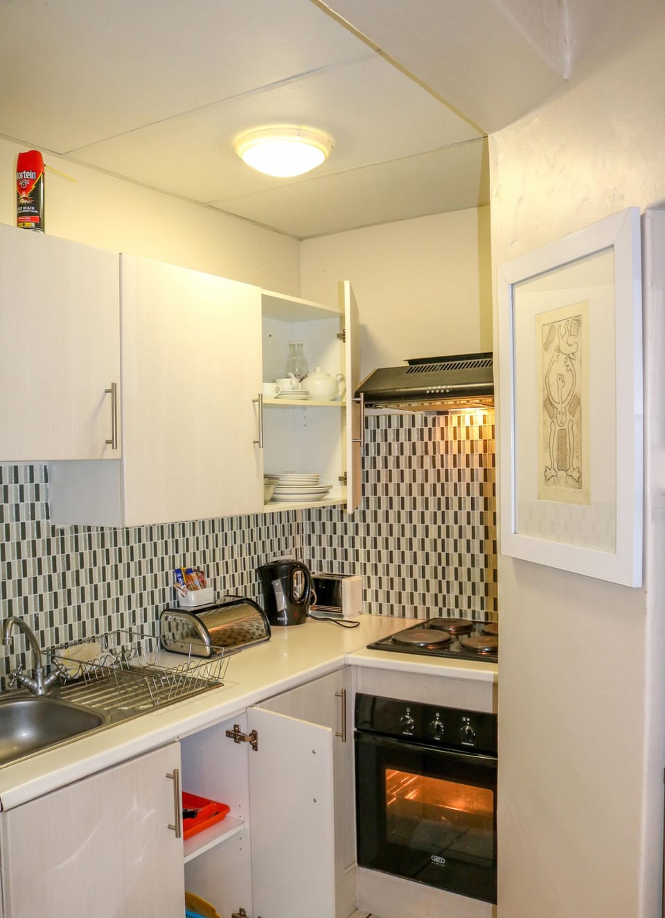Exclusive Apartment | Private kitchen | Fridge, microwave, oven, stovetop