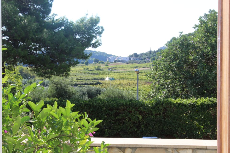 Apartment, 1 Bedroom | View from room