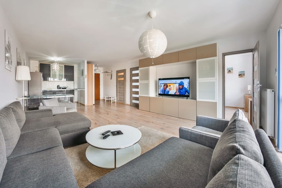 Apartment (24) | Living room | 30-inch flat-screen TV with cable channels, TV