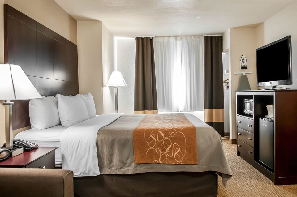 Suite, 1 King Bed, Non Smoking | 1 bedroom, premium bedding, desk, iron/ironing board