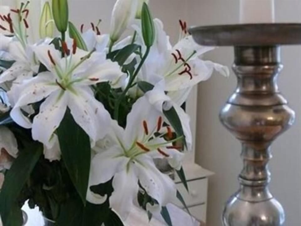 The Merchant House Bed and Breakfast in Poole