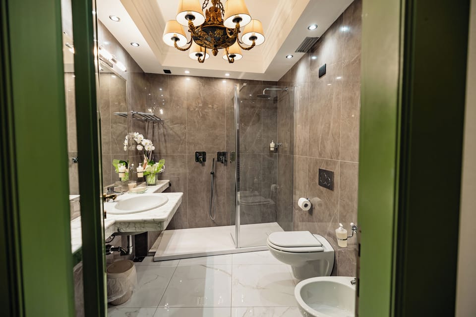 Free toiletries, hair dryer, slippers, bidet