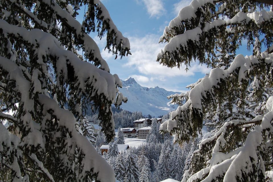 Snow and ski sports