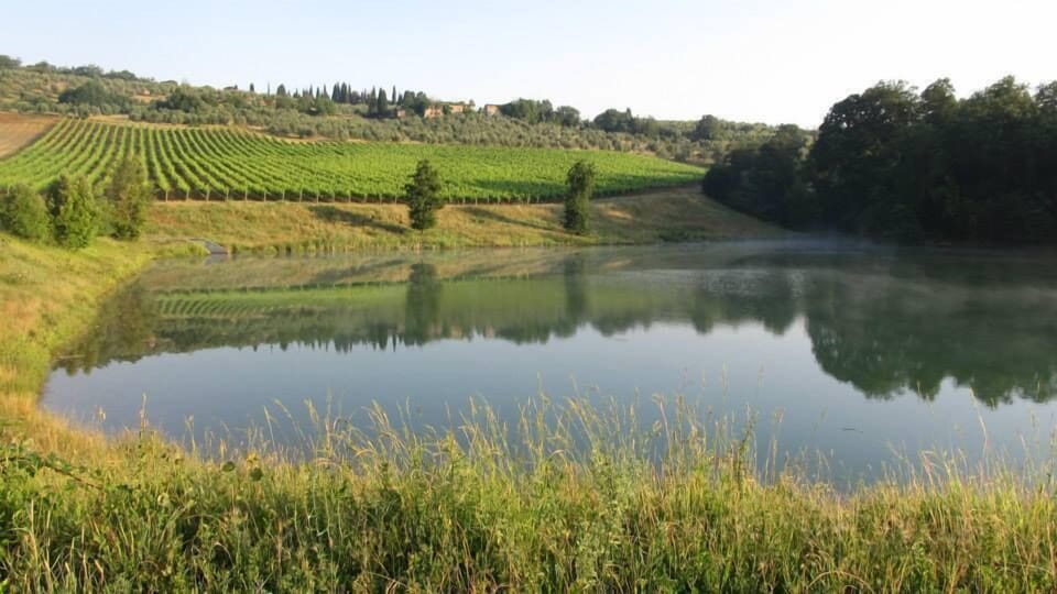 Lake