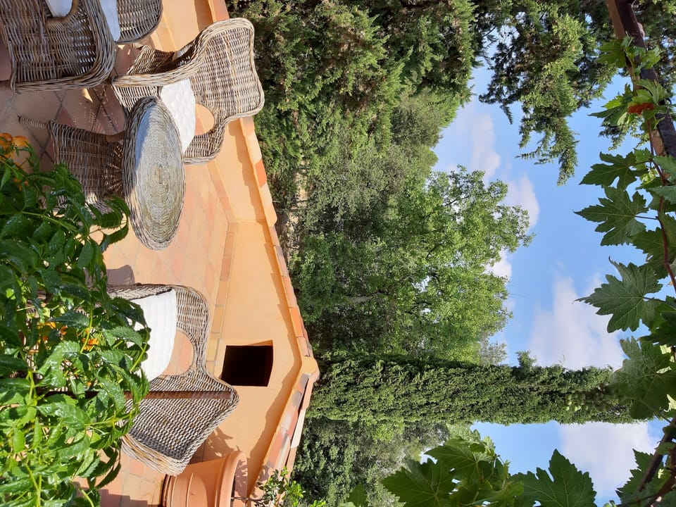 Room, Terrace (Treille) | Terrace/patio