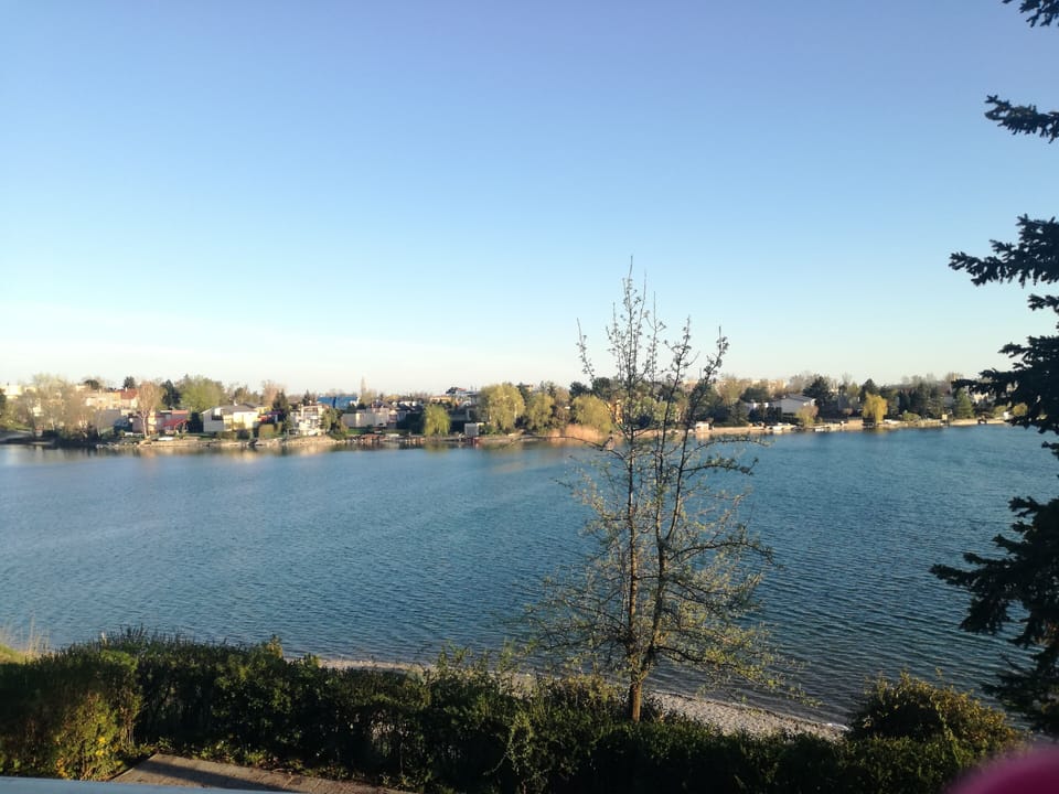 Lake view
