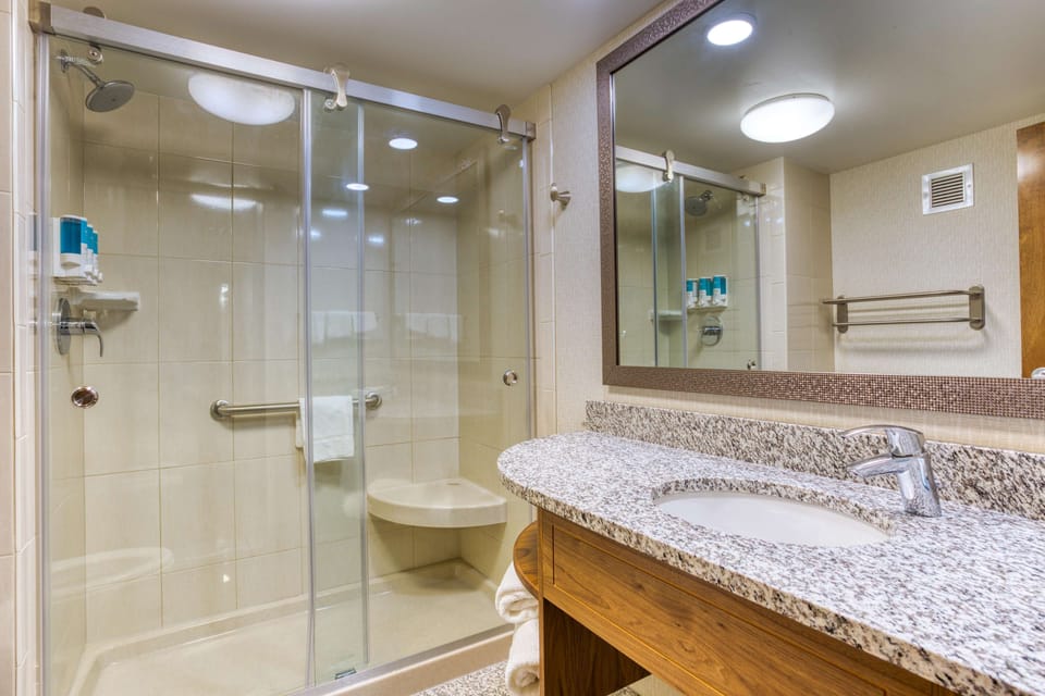 Room, 1 King Bed, Accessible (Roll-in Shower) | Bathroom | Combined shower/tub, free toiletries, hair dryer, towels