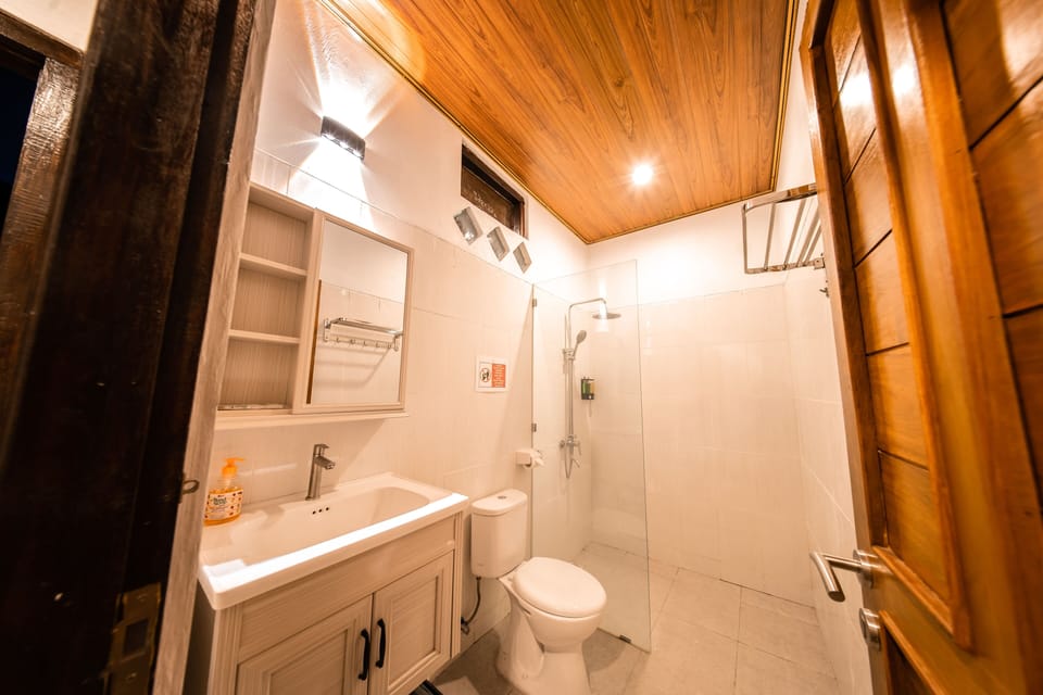 Shower, free toiletries, bidet, towels