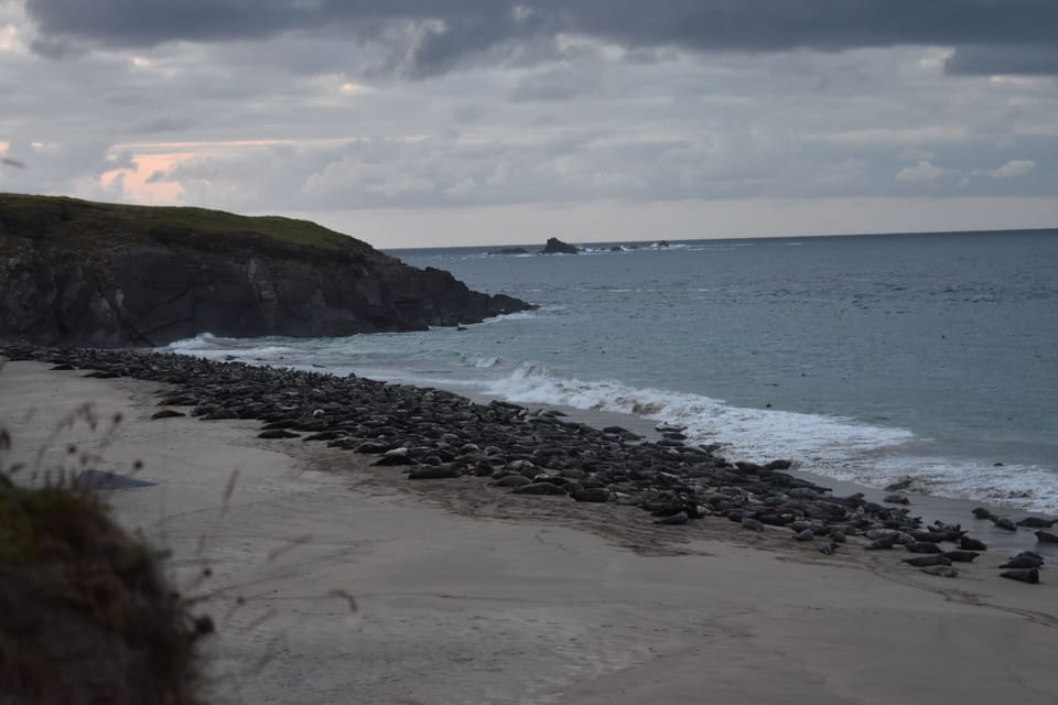 Great Blasket Island Accommodation Lodge in County Kerry