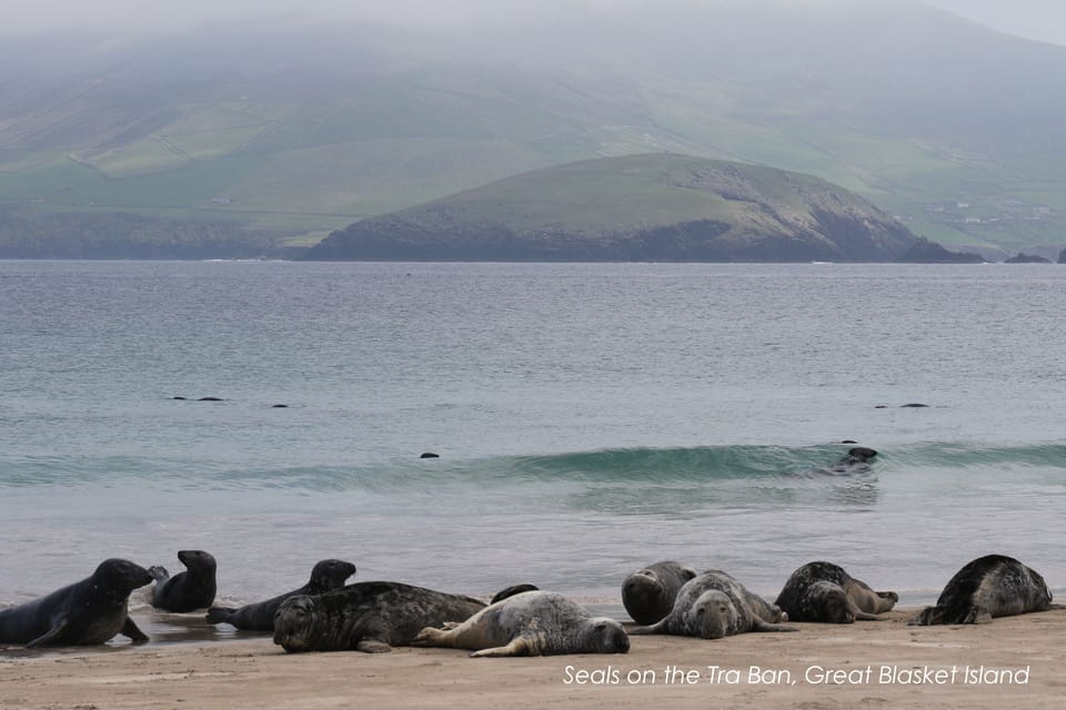 Great Blasket Island Accommodation Lodge in County Kerry