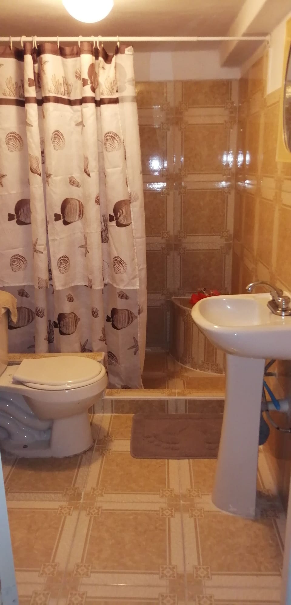 Apartamento Doña Bordonado Hotel in La Habana Province