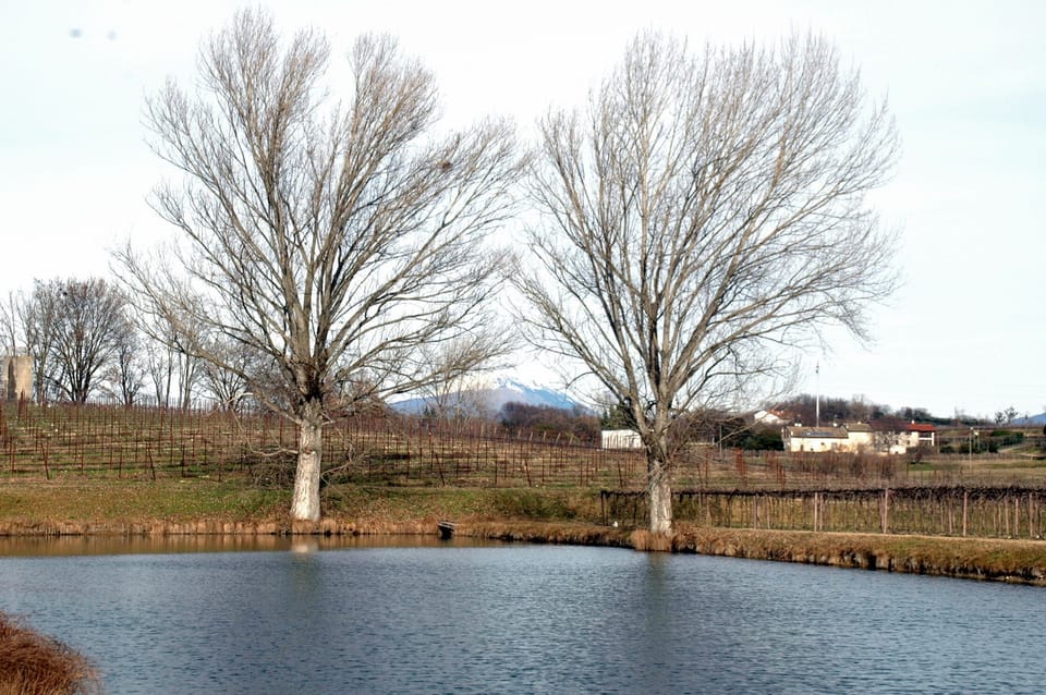 Land view from property