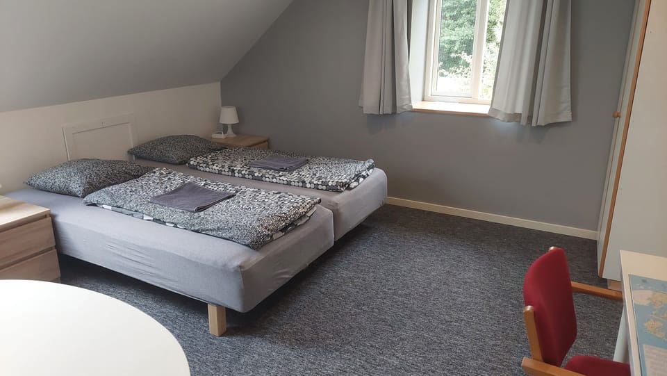 Basic Room | Premium bedding, down comforters, pillowtop beds, individually decorated