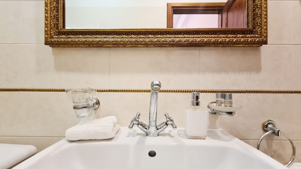 Shower, free toiletries, hair dryer, bathrobes