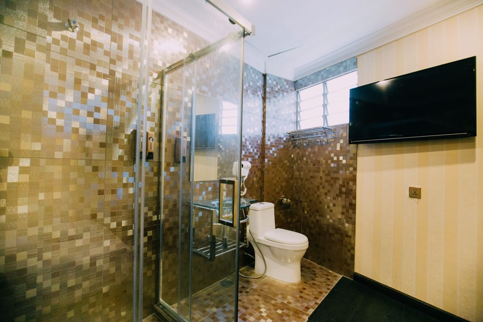 Free toiletries, hair dryer, bidet, towels