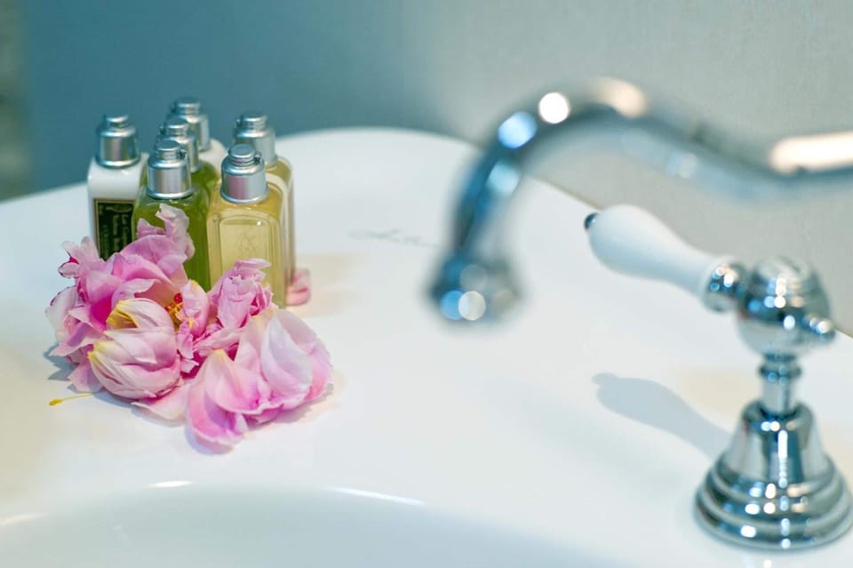 Hair dryer, towels, shampoo