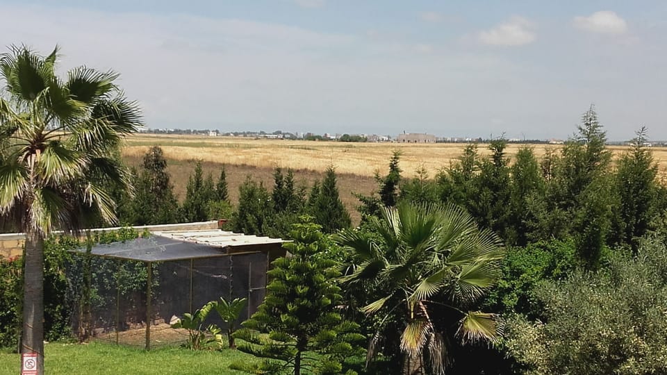 Panoramic Studio Suite | Balcony view