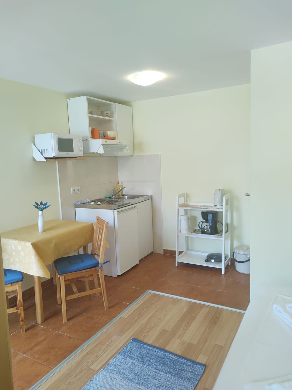Studio | Private kitchen | Fridge, microwave, coffee/tea maker, cookware/dishes/utensils