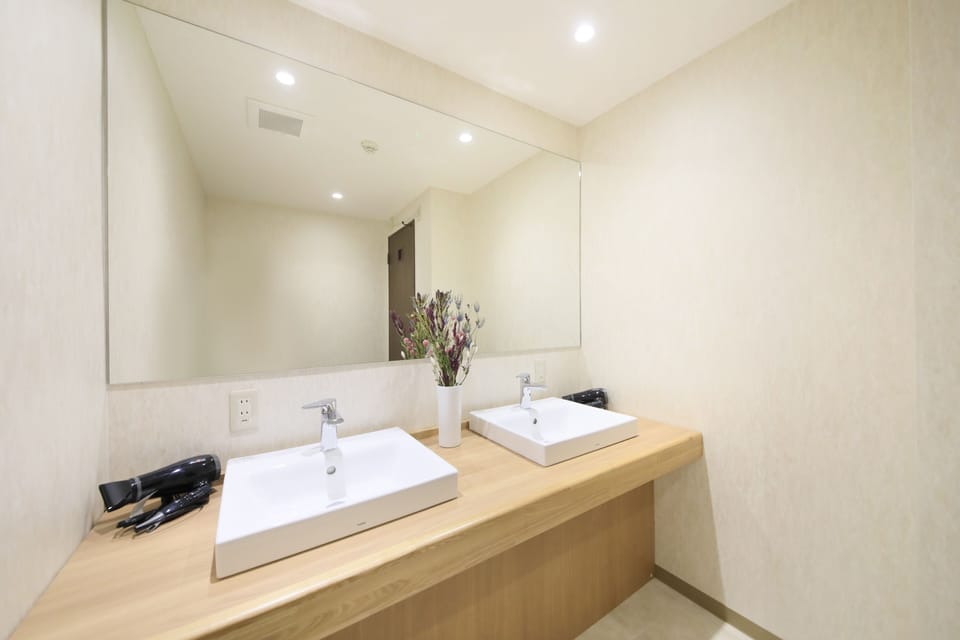 Shared Dormitory, Mixed Dorm | Bathroom sink