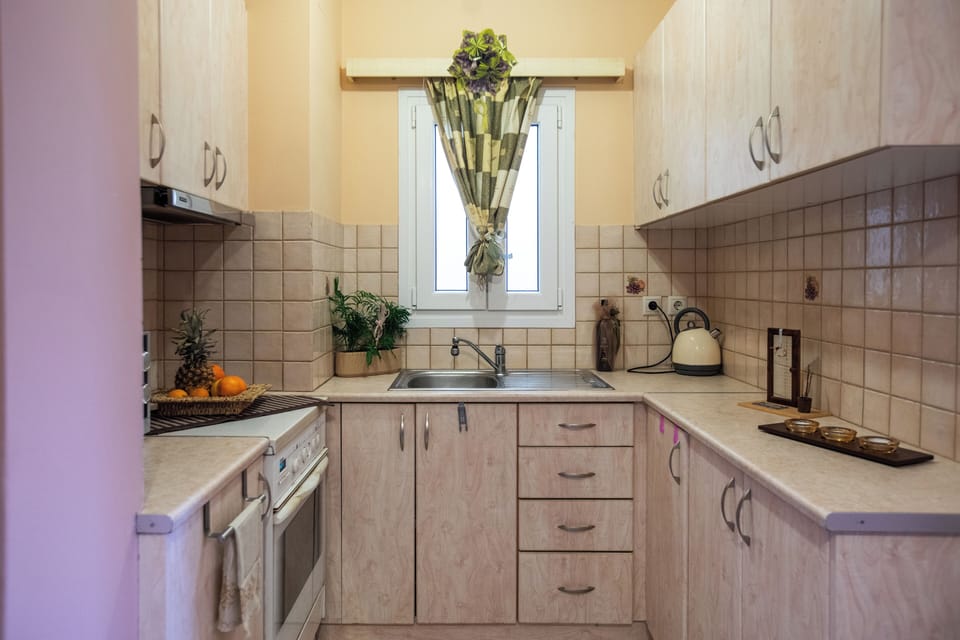 Panoramic Apartment | Private kitchen | Full-size fridge, microwave, oven, stovetop