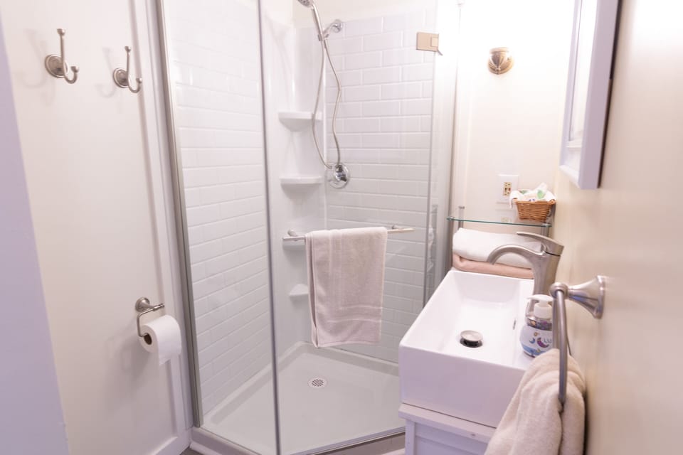 Traditional Double Room | Bathroom | Separate tub and shower, free toiletries, hair dryer, towels