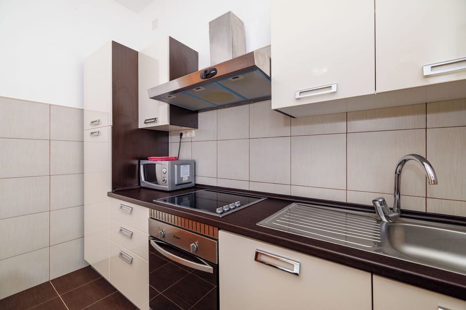 Apartment (A1) | Private kitchen | Fridge, microwave, oven, stovetop