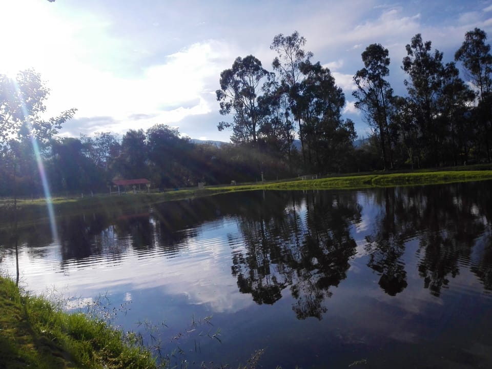Lake