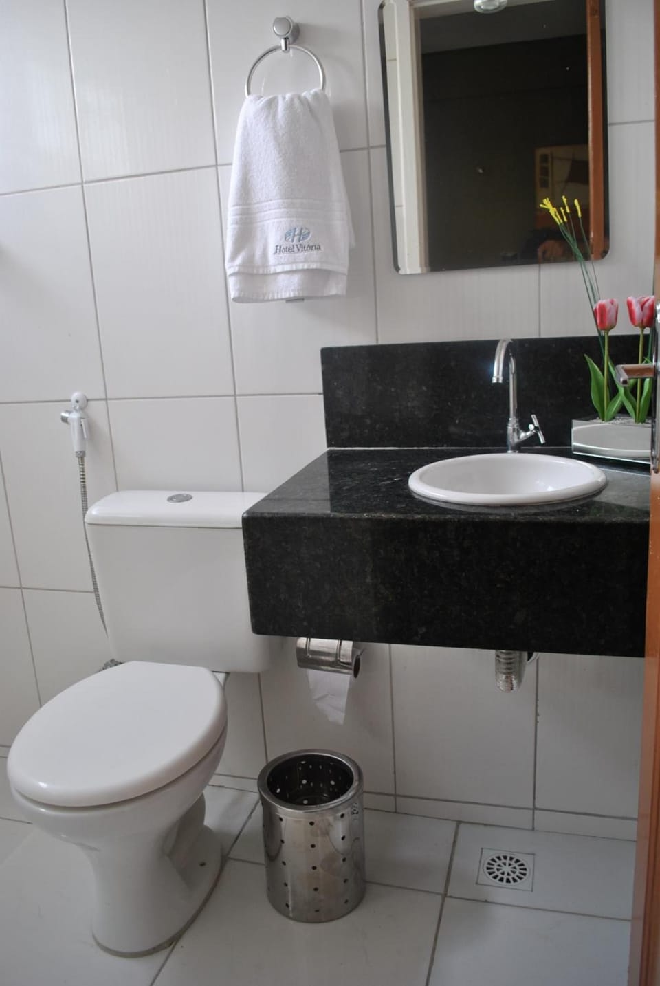 Shower, towels, toilet paper