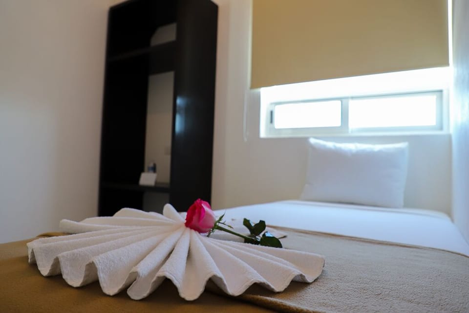 Basic Single Room, 1 Twin Bed | Minibar, in-room safe, iron/ironing board (on request), WiFi (free)
