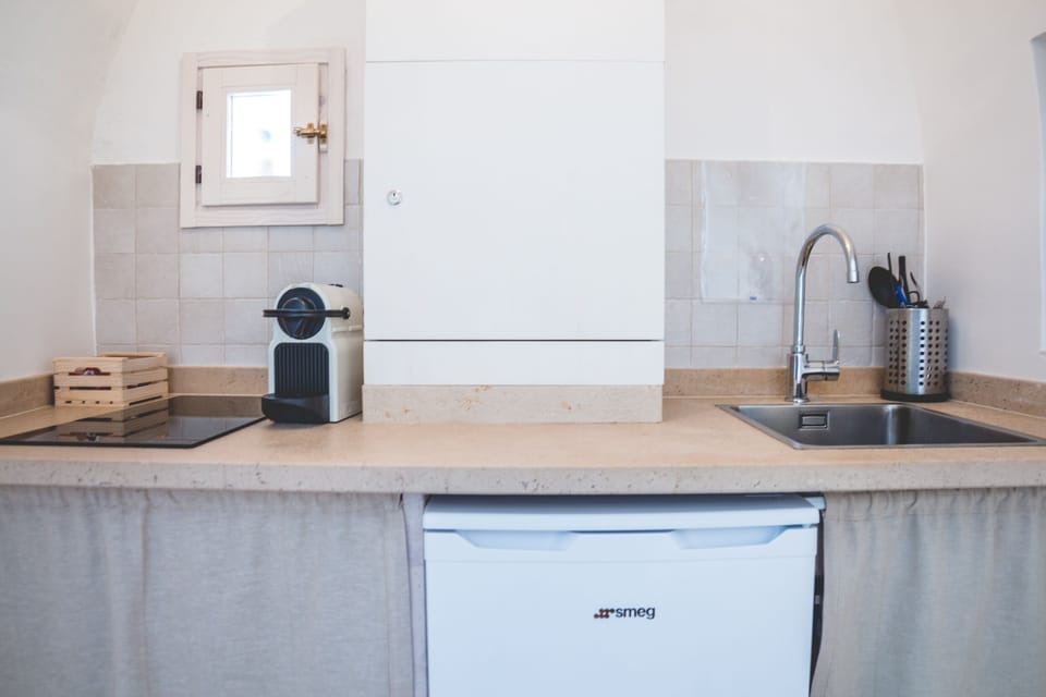 Traditional Apartment | Private kitchen | Fridge